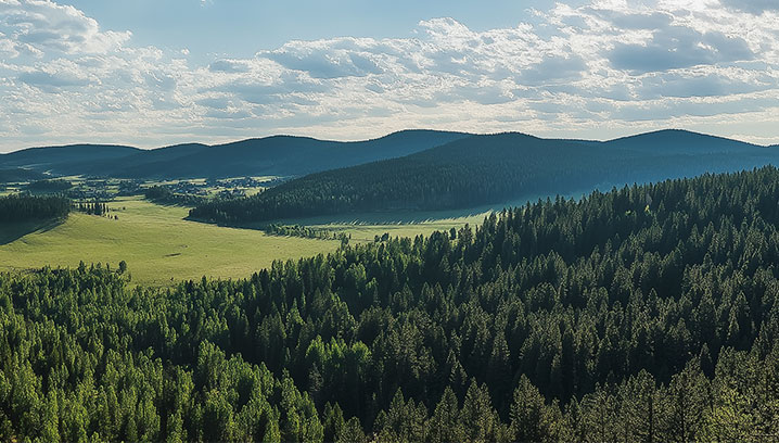 Blick über sanfte Hügel und dichte Wälder, vermittelt Ruhe und natürliche Schönheit unter einem hellen Himmel.