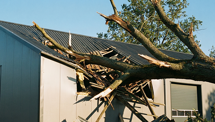 Ein zerstörtes Gebäude mit einem umgestürzten Baum, der auf dem Dach liegt. Traurige und bedrückende Stimmung.